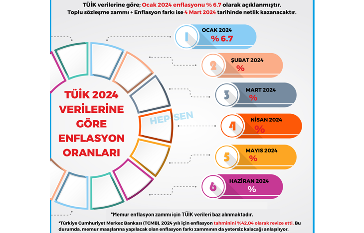 TÜİK 2024 VERİLERİNE GÖRE OCAK AYI ENFLASYON ORANLARI