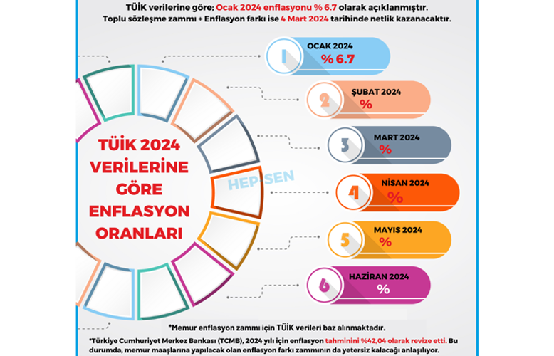 TÜİK 2024 VERİLERİNE GÖRE OCAK AYI ENFLASYON ORANLARI